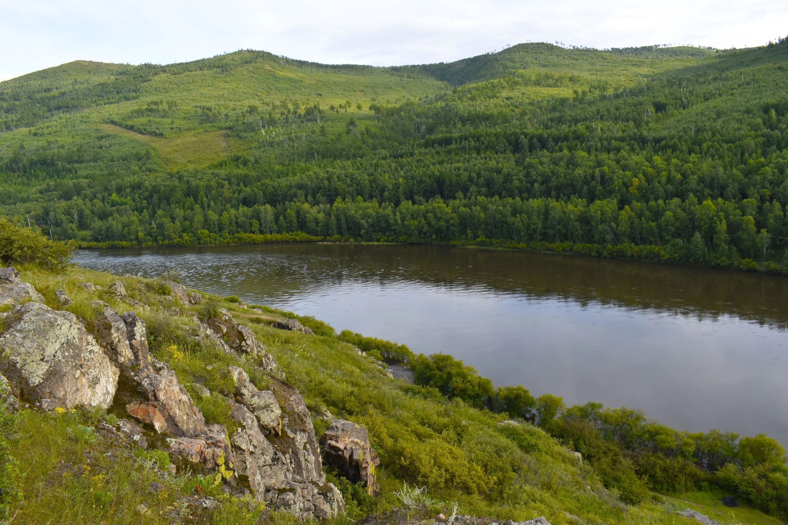 Природные зоны забайкалья. Сухотино Чита фото.